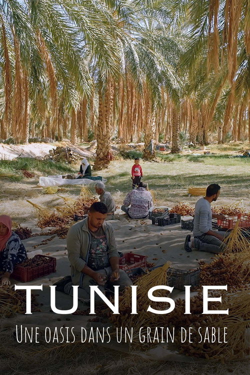Movie poster for Tunisie : Une oasis dans un grain de sable (2024)