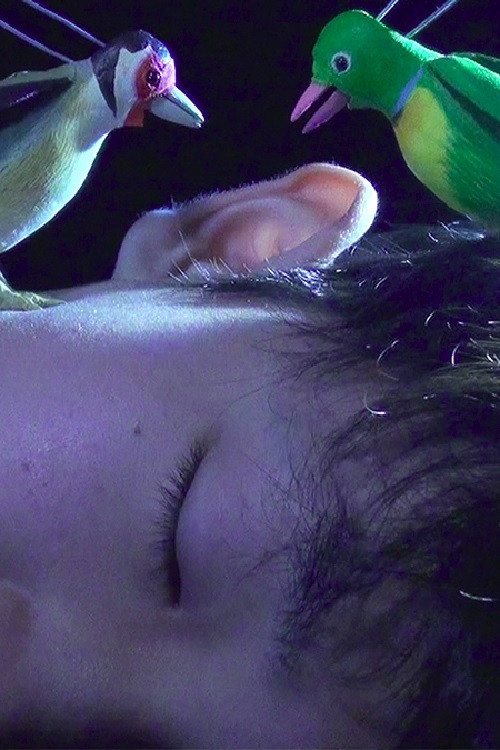 Movie poster for The Princess and the Magic Birds (2021)