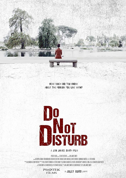 Movie poster for Do Not Disturb (2015)