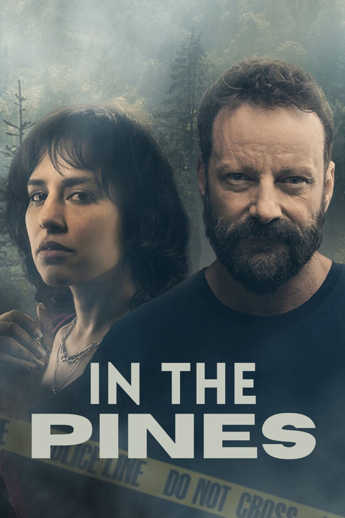In the Pines poster
