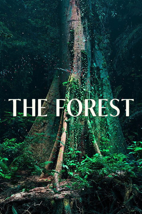 Movie poster for The Forest (2024)