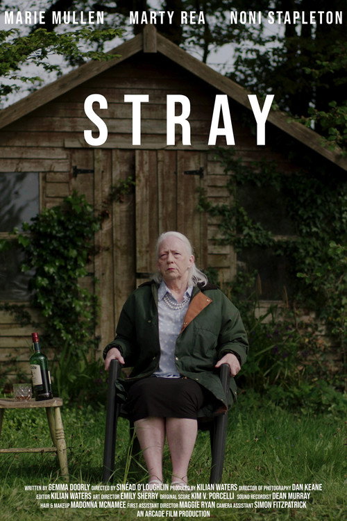 Movie poster for Stray (2019)