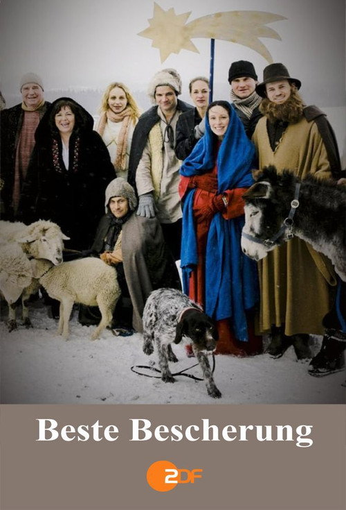 Movie poster for Beste Bescherung (2013)