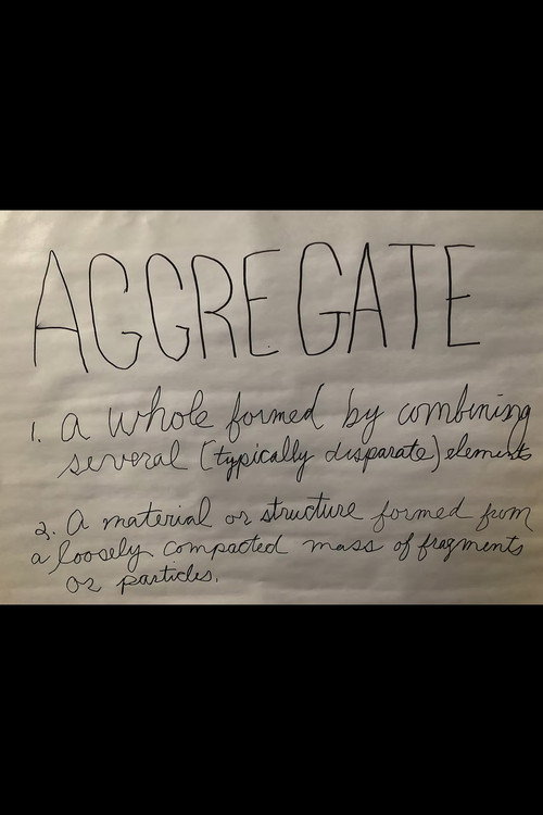 Movie poster for Aggregate (2020)