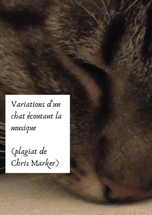Movie poster for Variations of a cat listening to music (Chris Marker plagiarism) (2024)