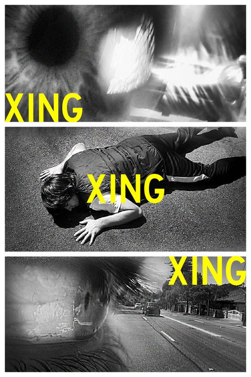 Movie poster for XING