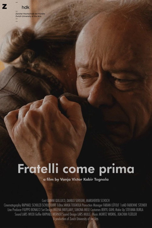 Movie poster for Brothers Again (2019)