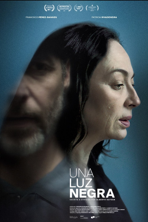 Movie poster for A Dark Light (2024)