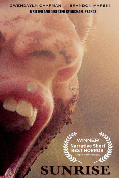 Movie poster for Sunrise (2020)