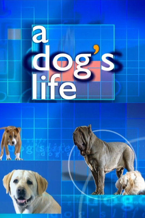 A Dog's Life poster