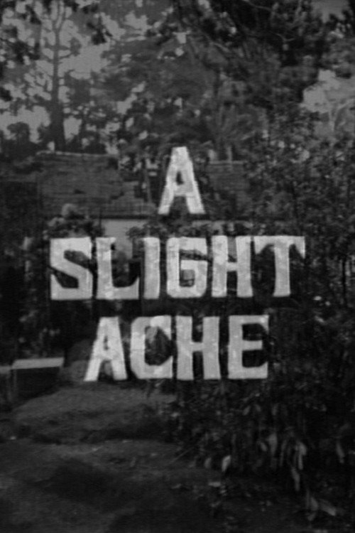 Movie poster for A Slight Ache (1967)