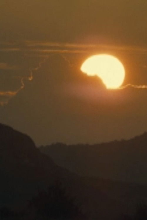 Movie poster for The Entire Sun Is Nowhere To Be Found (2021)