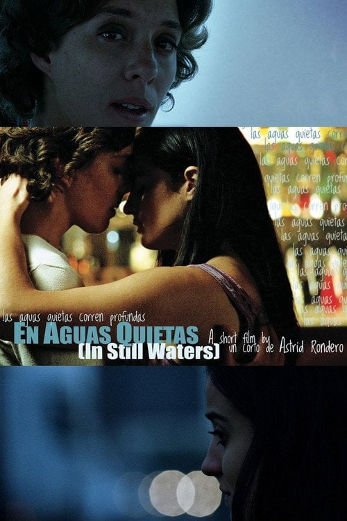 Movie poster for In Still Waters (2011)