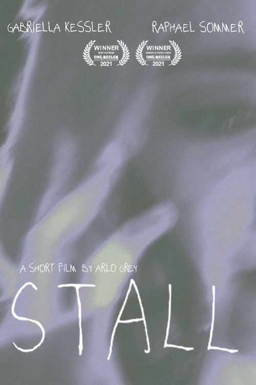 Movie poster for Stall (2021)