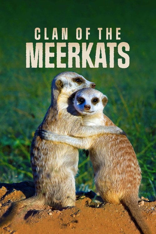 Movie poster for Clan of the Meerkat (2010)
