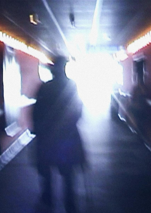 Movie poster for Stan Brakhage Exits the Cinema and Enters the Light of Day (2002)