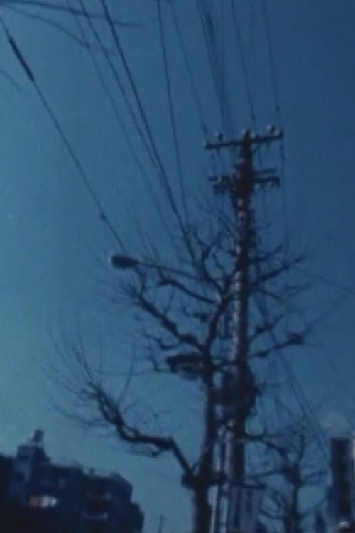 Movie poster for Passing By Landscapes (1976)