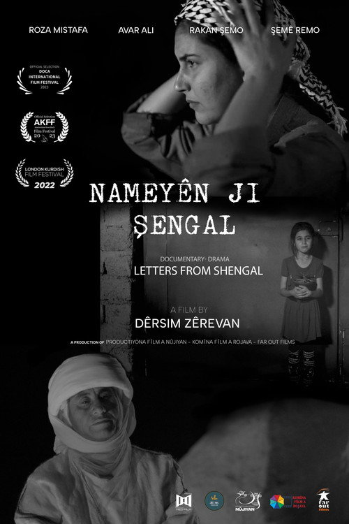 Movie poster for Letters from Shengal (2022)