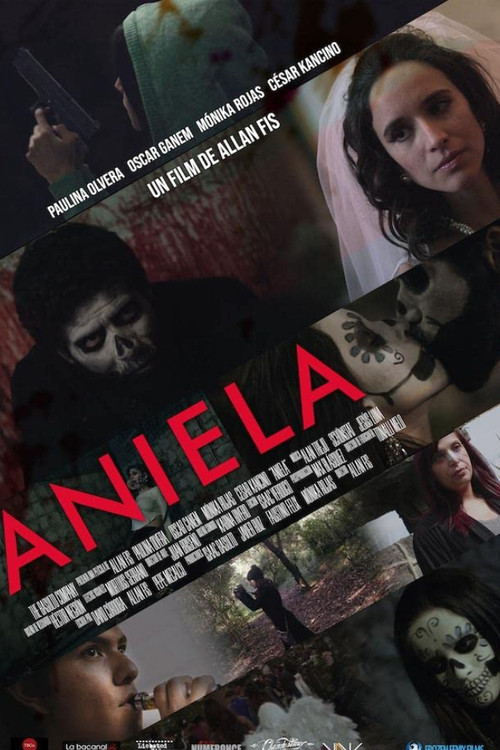 Movie poster for Aniela (2020)