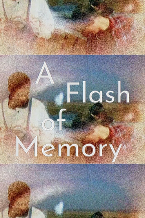 Movie poster for A Flash of Memory (2025)