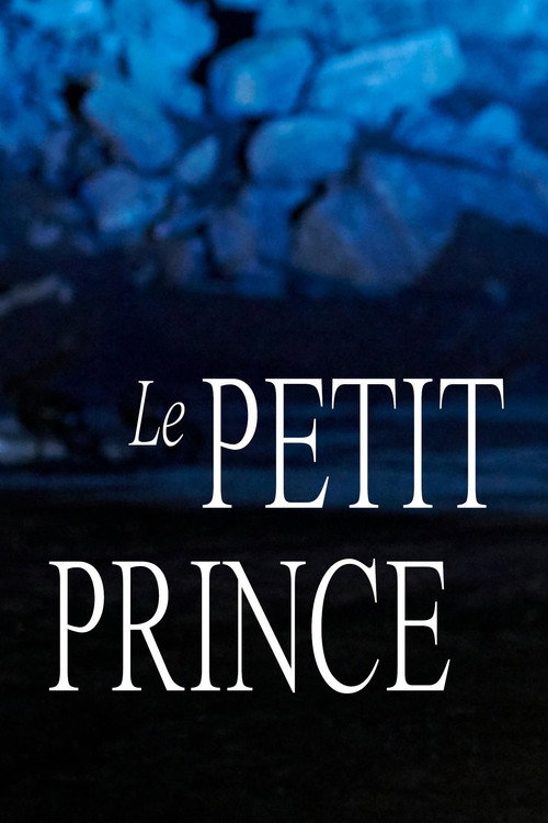 Movie poster for Le Petit Prince – théâtre musical (2020)