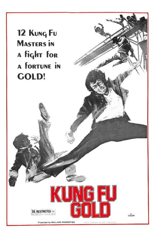 Movie poster for Kung Fu Gold (1974)