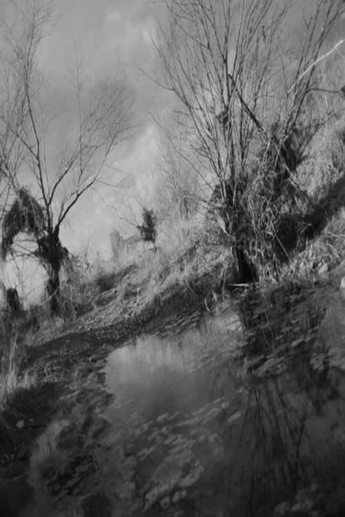 Movie poster for A Riverscape (2018)