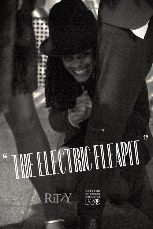 Movie poster for The Electric Fleapit (2023)