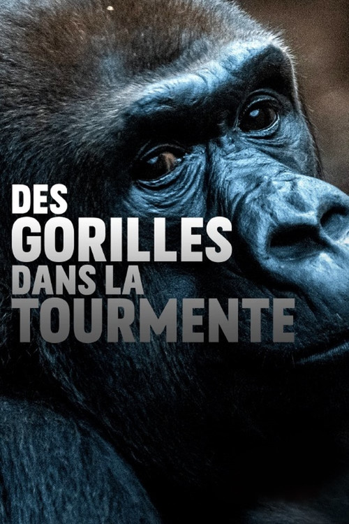 Movie poster for Gorillas unter Stress (2020)