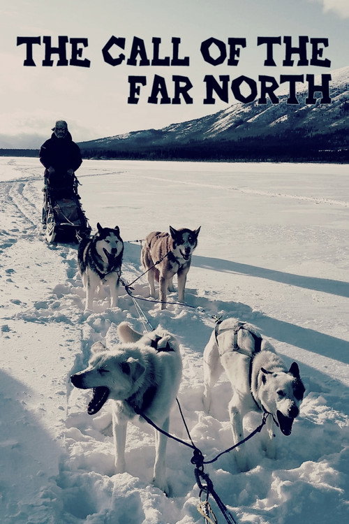 Movie poster for The Call of the Far North (2021)