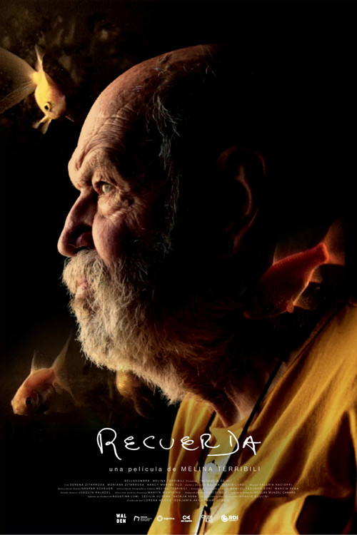 Movie poster for Recuerda (2024)