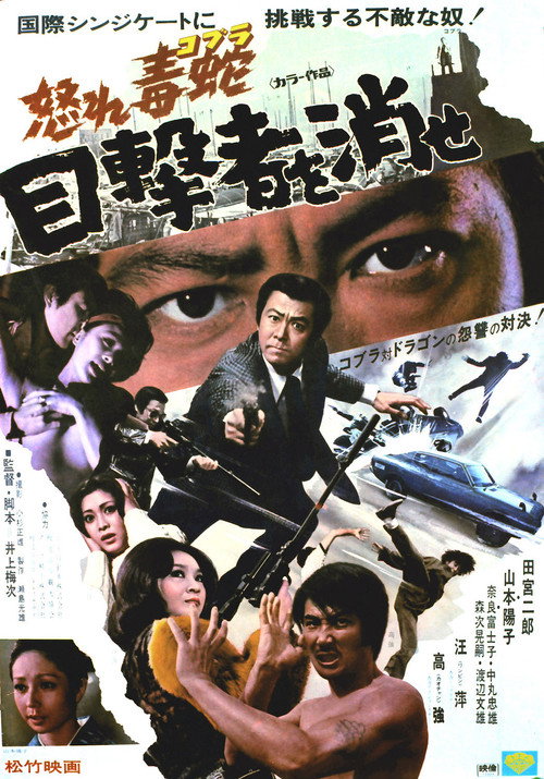 Movie poster for Cobra (1974)