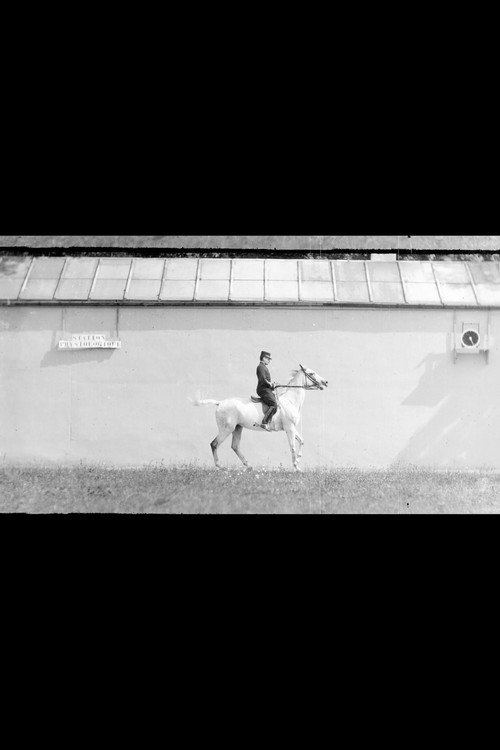 Movie poster for Bay Horse, Mounted, Trotting (1899)