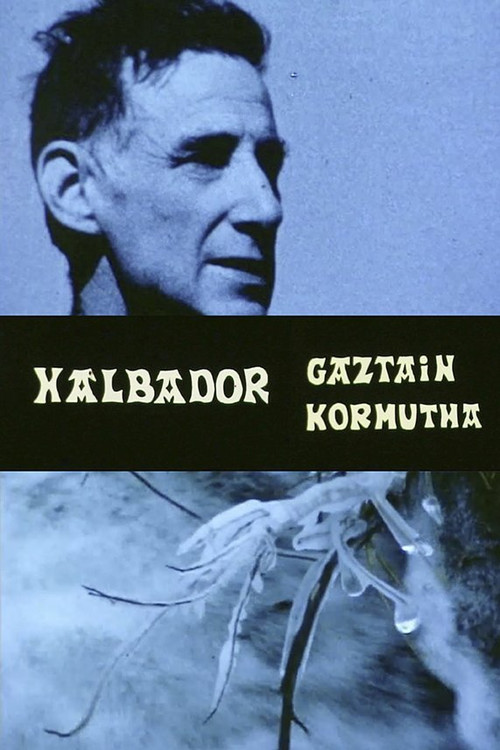Movie poster for Xalbador gaztain kormutxa (1981)