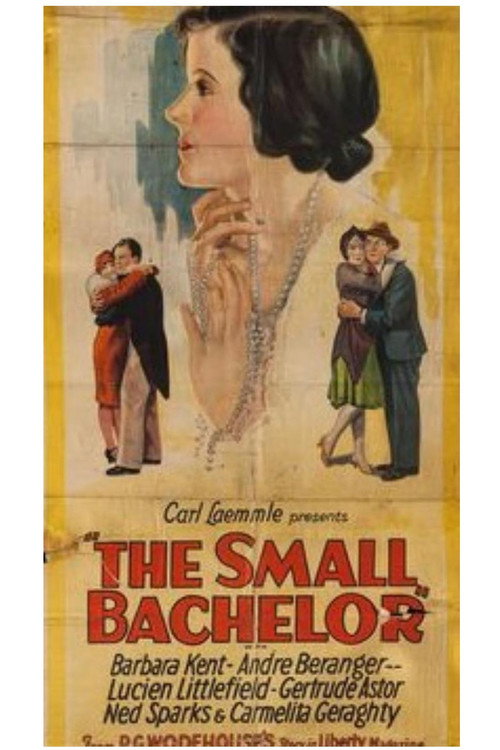 Movie poster for The Small Bachelor (1927)