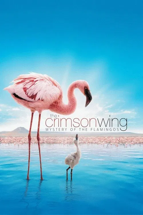 Movie poster for The Crimson Wing: Mystery of the Flamingos (2008)