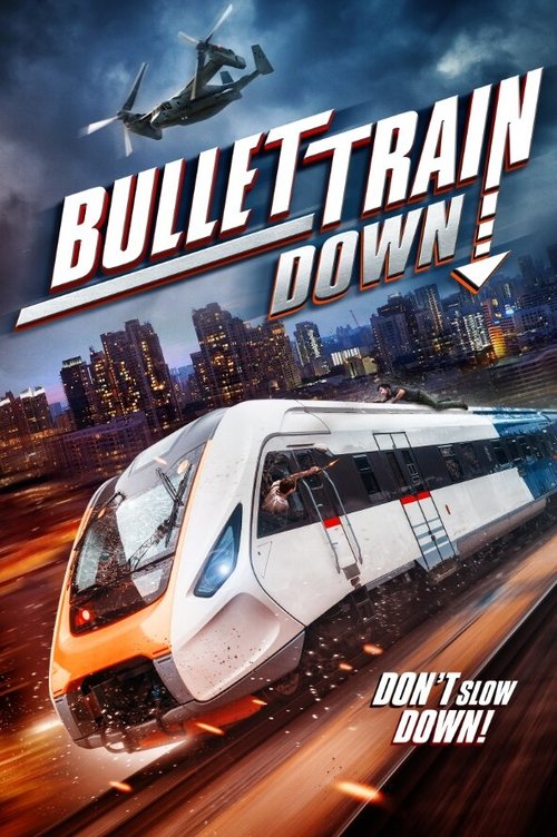 Movie poster for Bullet Train Down (2022)