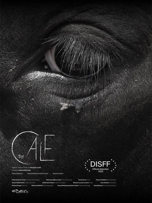 Movie poster for The Calf (2022)