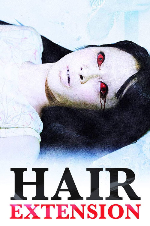 Movie poster for Hair Extension (2014)
