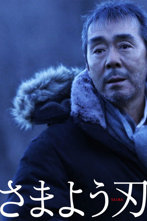 Movie poster for The Hovering Blade (2009)