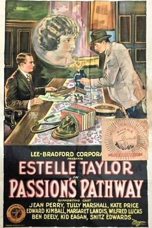 Movie poster for Passion's Pathway (1924)