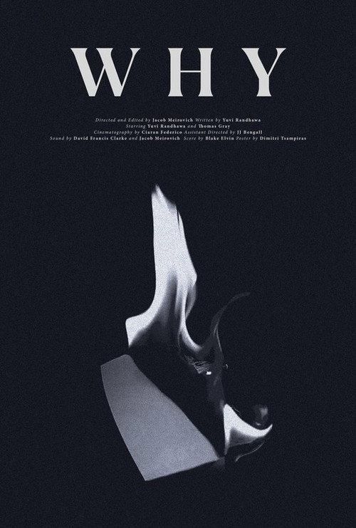 Movie poster for WHY (2022)