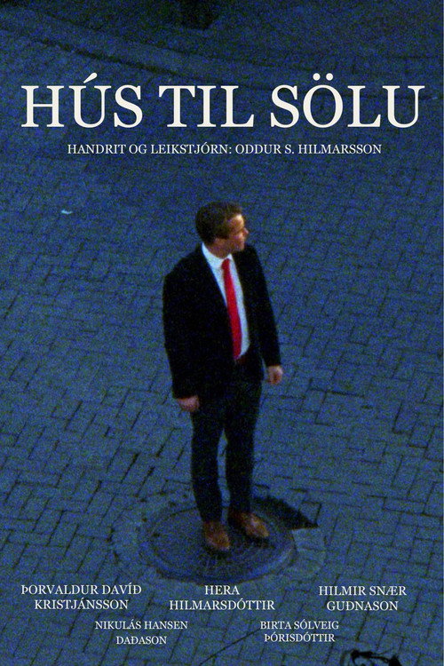 Movie poster for House for Sale (2024)