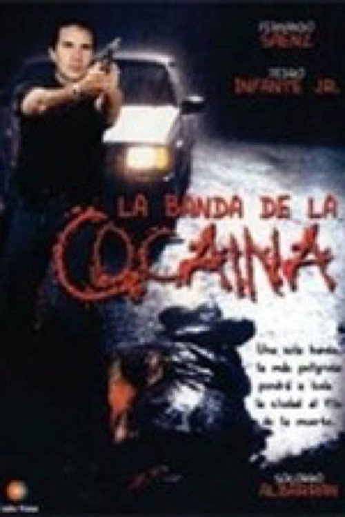 Movie poster for Un ingeniero en la capital (1999)