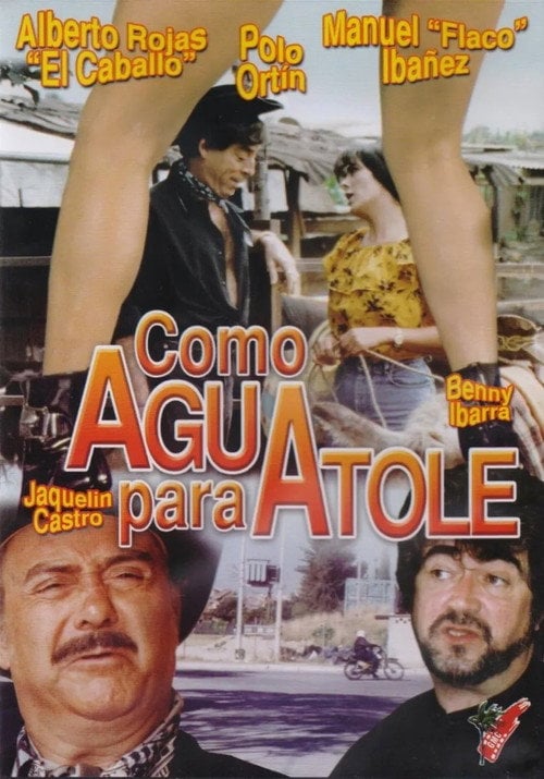 Movie poster for Como agua para atole (1996)