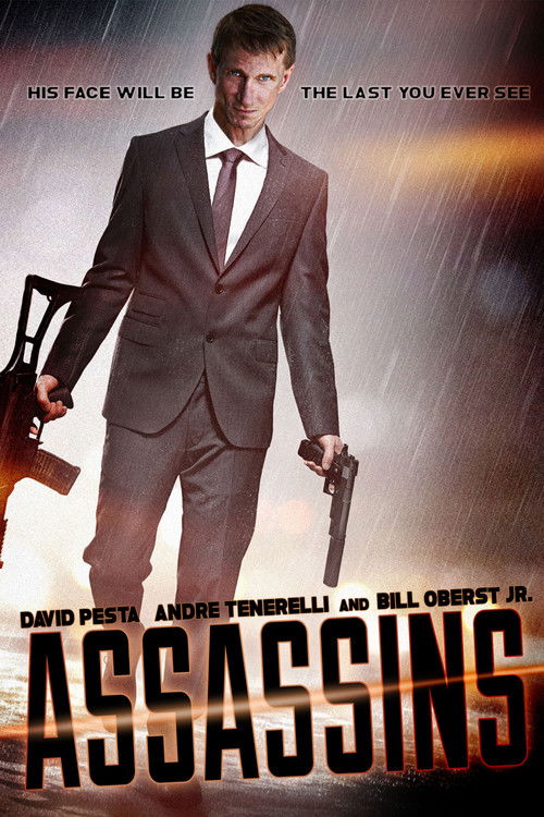 Movie poster for Assassins (2014)