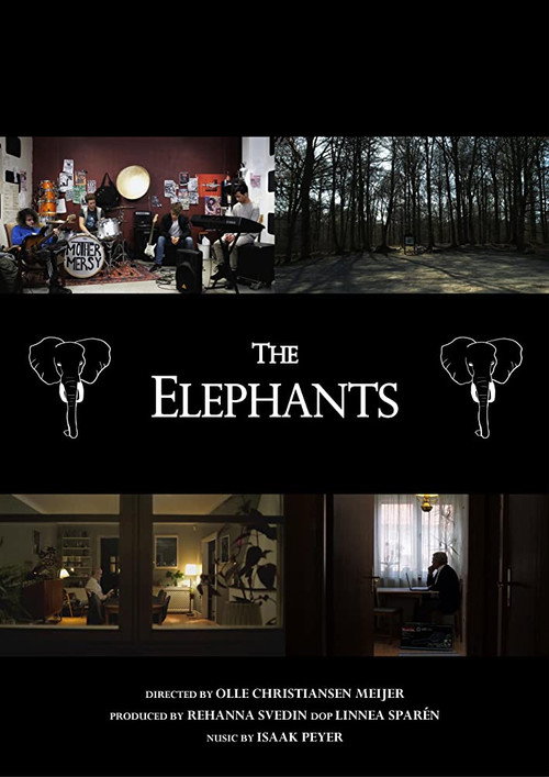 Movie poster for The Elephants (2019)
