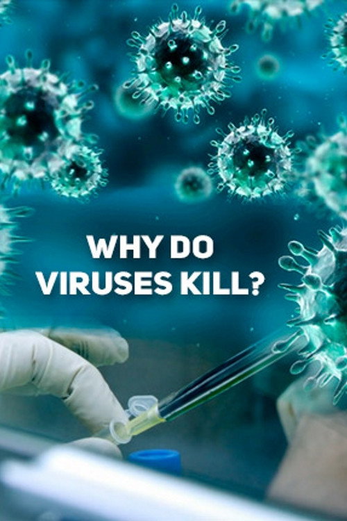 Movie poster for Why Do Viruses Kill? (2010)