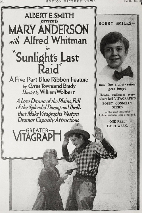 Movie poster for Sunlight's Last Raid (1917)
