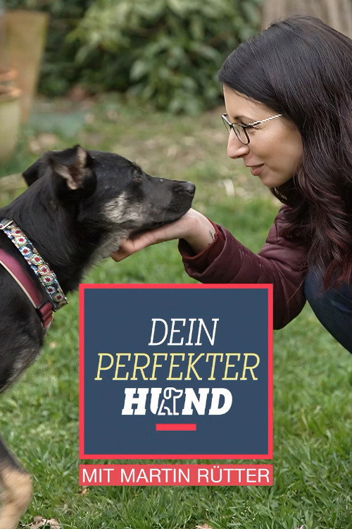 Series poster for Dein perfekter Hund (2024)